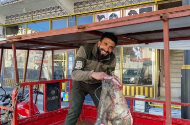 Çüngüş’te 100 kiloluk turna balığı yakalandı 