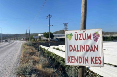 Dalından satışla ekonomiye katkı 