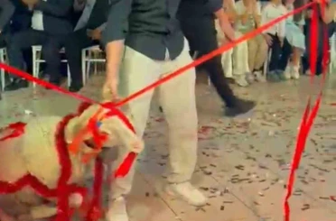 Damada verilen hediyeye herkes şaştı kaldı 