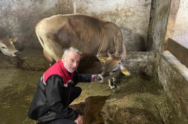 Danimarka ve Amerika’dan getirildiler, Of’a kısa sürede uyum sağladılar 