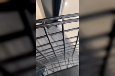 Dantel böceği İnegöl’de görüntülendi 
