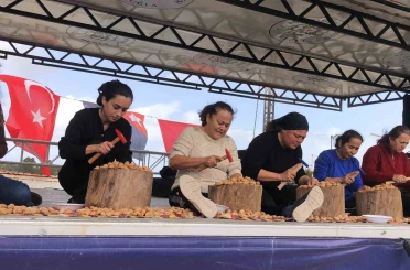 Datça 7. Badem Çiçeği Festivali sona erdi 