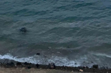 Datça’da virajı alamayan araç denize uçtu: 1 yaralı