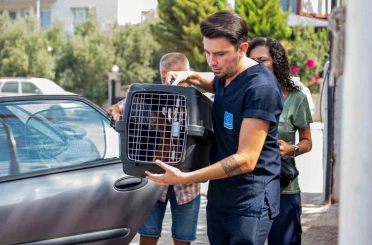 Davutlar Mahallesi’ne Kedi Kısırlaştırma Merkezi açıldı 