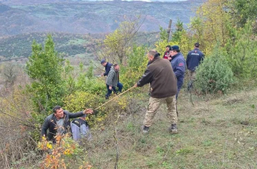 Defne toplarken kaybolan kadının cansız bedeni bulundu: O anlar İHA kameralarına yansıdı 