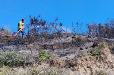 Defne’de çıkan bahçe yangınından alevler yükseldi 