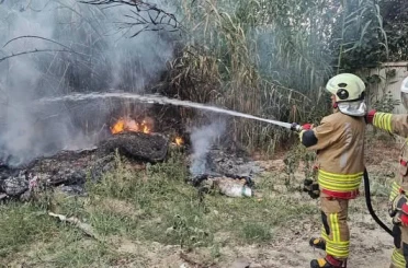 Defne’de sazlık yangını 