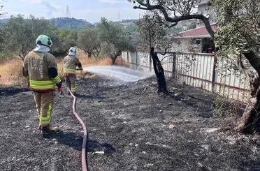 Defne’de zeytinlik alanda yangın yaşandı
