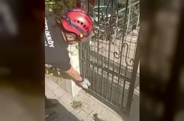 Demir kapıya sıkışan kirpiyi böyle kurtardılar 