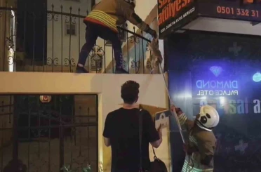 Demir korkulukta mahsur kalan kediyi itfaiye kurtardı 