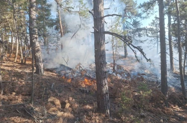 Demirci’de orman yangınına havadan müdahale 