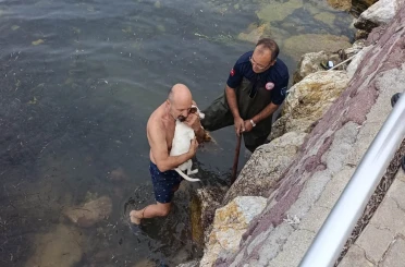 Deniz kenarında sıkışan köpek için kurtarma operasyonu 