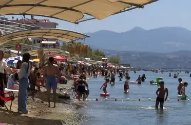 Deniz sezonunun bitmesine yakın Bursa’nın sahillerinden sevindiren haber