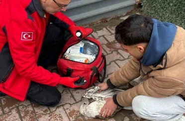 Denizde can mücadelesi: Martıyı 911 ekipleri kurtardı 