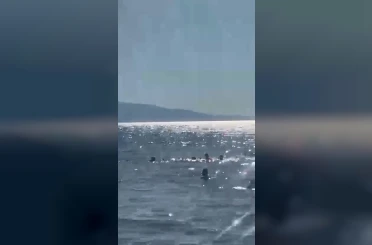 Denizde dubaların dışına çıkan baba ve iki kızı ölüm tehlikesi atlattı 