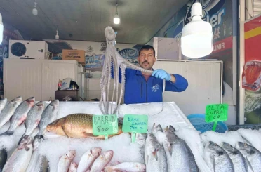 Denize kıyısı olmayan Kahramanmaraş’ta balığa yoğun ilgi 