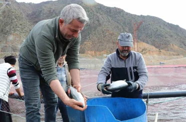 Denizi olmayan Erzurum’da yılda 300 tona yakın balık üretiyorlar 