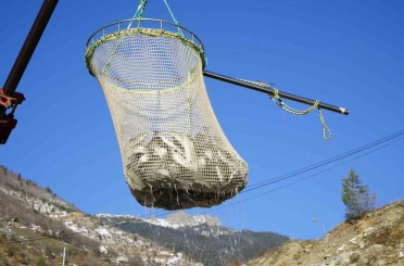Denizi olmayan Gümüşhane’de alabalık üretimi 2 bin tona ulaştı 