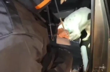 Denizli’de arama yapılan araçta 1,5 kilogram metamfetamin ele geçirildi 