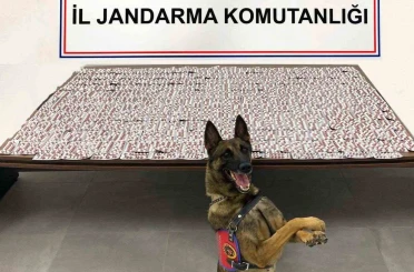 Denizli’de jandarma uyuşturucu tacirlerine geçit vermiyor 