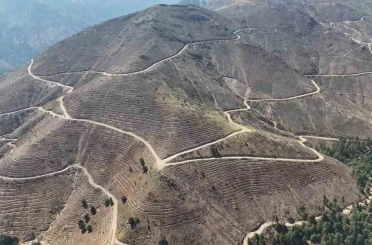 Denizli’de yanan 4 bin 108 hektar orman sahasında 2,5 milyon fidan yeşerecek