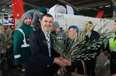 Denizli’nin 19 ilçesinde 84 bin zeytin fidanı üreticilere dağıtıldı 