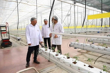 Denizli’nin 2025 bitkisel üretim tablosu yüz güldürdü 