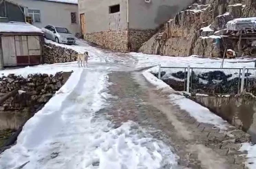 Develi’de mahalleli köprüye korkuluk istiyor 