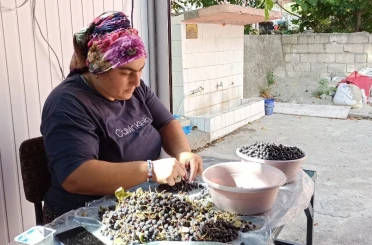 Devrek’te üretilen aronya meyve suyu büyük ilgi görüyor 