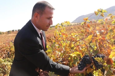 Dicle’de modern bağcılığa yönelik yüzde 50 hibeli tarım aletleri desteği başvurusu başladı 