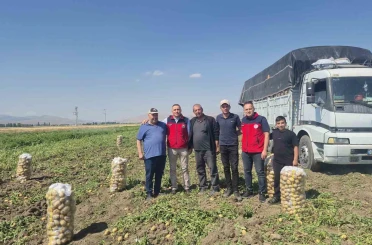Dinar’da patates hasadı başladı 