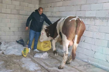 Diyadin’de besicilik geçim kapısı oldu 