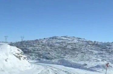 Diyarbakır’da aç kalan kurt ve domuz sürüsü yerleşim yerine indi 