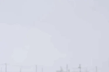 Diyarbakır’da kurtlar yerleşim yerlerine indi 