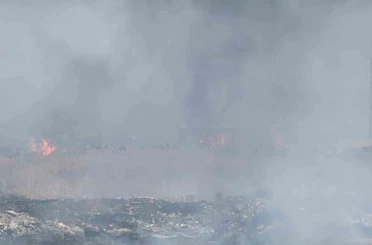 Diyarbakır’da otluk alanda korkutan yangın 