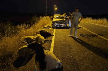 Diyarbakır’da otomobil sürüye çarptı: 10 koyun telef oldu 