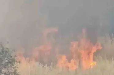 Diyarbakır’da yerleşim alanında çıkan yangın paniğe neden oldu
