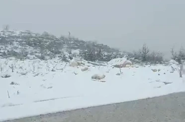 Diyarbakır’ın iki ilçesinde kar yağışı 