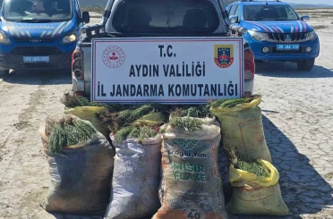 Doğal koruma alanlarında izinsiz bitki toplayan 8 şüpheliye işlem yapıldı 