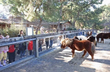 Doğal Yaşam Parkı’nda çocuklara hayvan ve doğa sevgisi aşılanıyor 
