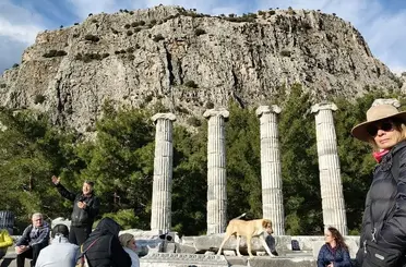 Doğaseverler, Anadolu’nun Pompeisi Priene Antik Kenti’ne dikkat çekti
