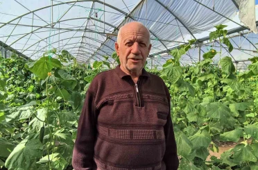 Doğu Anadolu’nun en büyük serasında üretim aralıksız sürüyor 