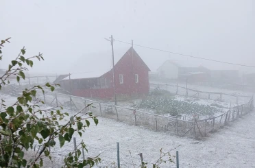 Doğu Karadeniz’in sahili ve iç kesimlerindeki şiddetli yağış yerini zirvelerde kara bıraktı 
