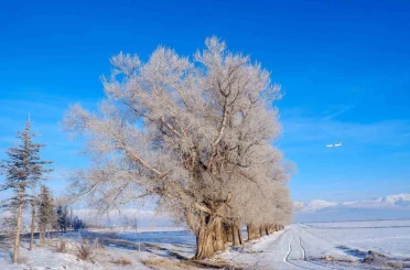 Doğu yine buz kesti 