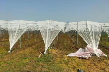 Dolu korkusuna fileli önlem 