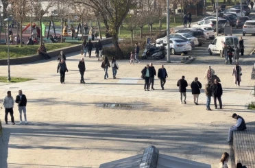 Domuz gribi vakalarında artış 