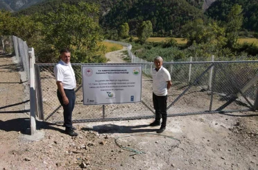 Domuzların talan ettiği çeltik tarlaları, devlet desteğiyle yeniden verimli hale getirildi 