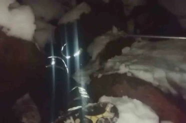 Dondurucu soğukta ölümü bekleyen yavru köpekleri itfaiye kurtardı 