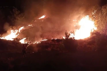 Düğün sırasında çalılık alanda yangın çıktı: Ormana sıçramadan söndürüldü