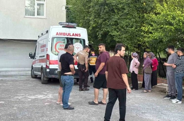 Dut toplarken ağaçtan düşüp yaralandı 
